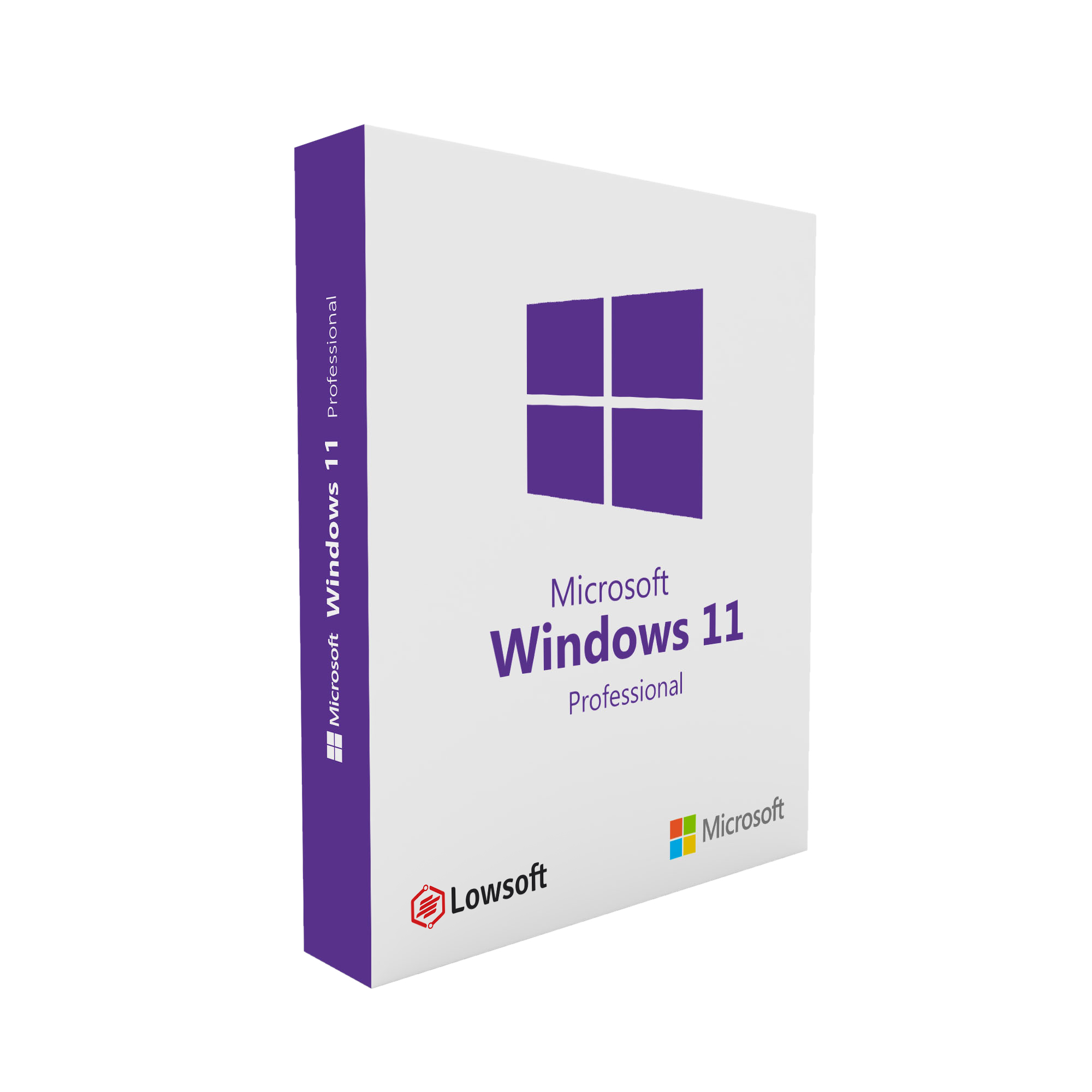 Microsoft Windows 11 Professionnel